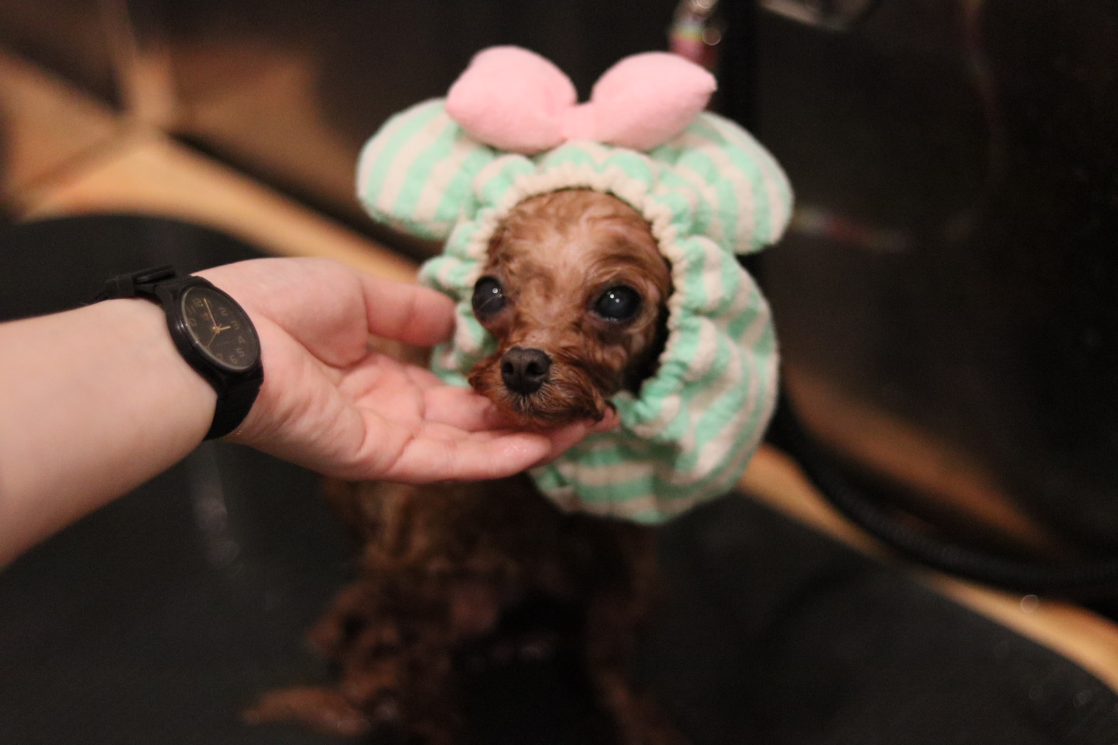 大阪市
