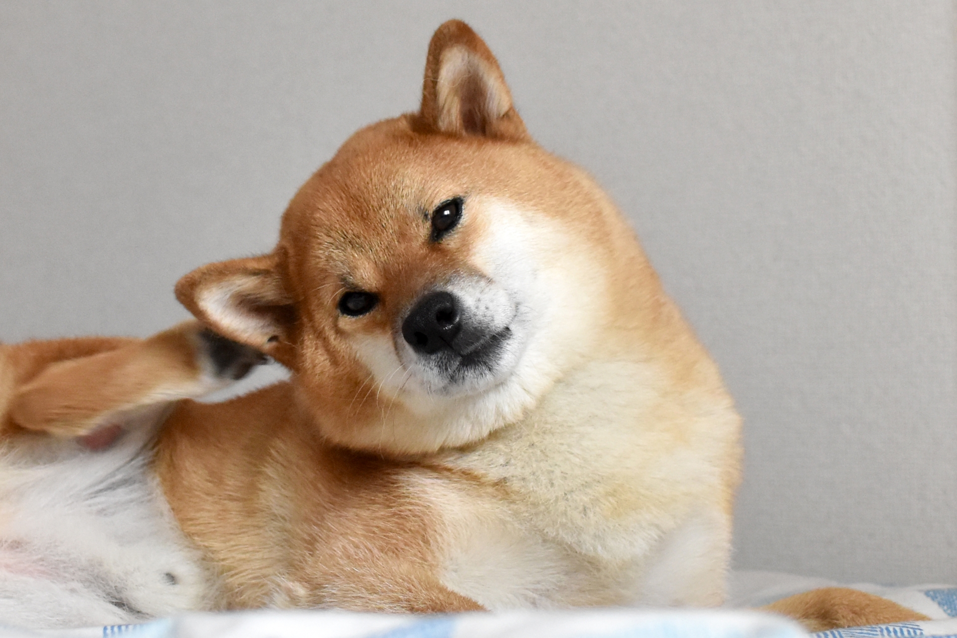 美容室2