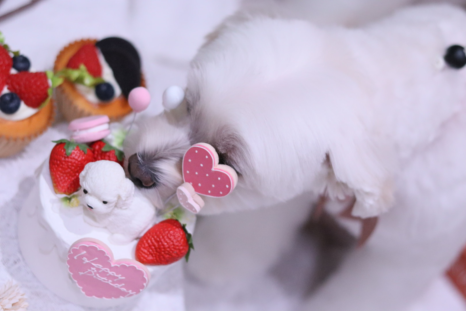 sample-02